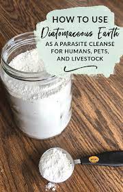 diatomaceous earth for parasites in dogs