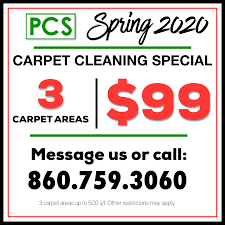 home cleaning carpet cleaners pete