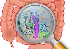 new paper reviews gut microbiome health