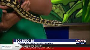 zoo buds jungle carpet python