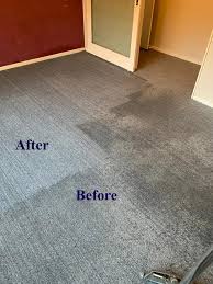 carpet and upholstery cleaning pro