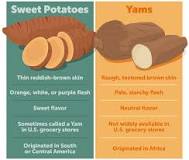 Are canned yams actually yams?
