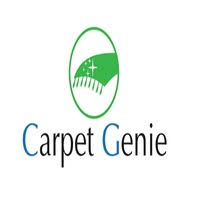 carpet genie business consulting