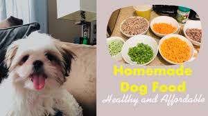 homemade dog food shih tzu puppy