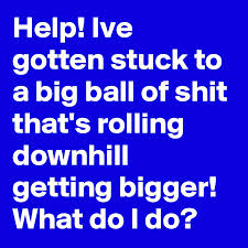 Help! Ive gotten stuck to a big ball of shit that's rolling downhill  getting bigger! What do I do? - Post by wizeoldsoul on Boldomatic
