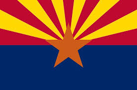 arizona cleaning business start up laws