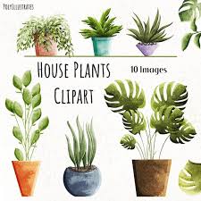 House Plants Clipart Potted Plant