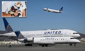 The alaska airlines pet policy is pretty straightforward. United Joins American Delta And Alaska Airlines In Refusing To Allow Emotional Support Animals Daily Mail Online
