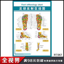 Buy Foot Reflex Zone Flipchart Human Foot Reflex Zone Foot