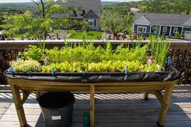 Raised Garden Bed Liners Should You