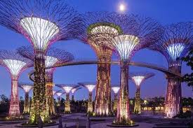 singapore gardens by the bay admission