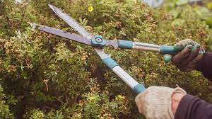 how to sharpen garden shears in 7 easy