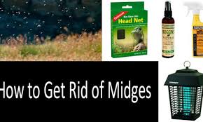 10 ways to get rid of midges 10 best