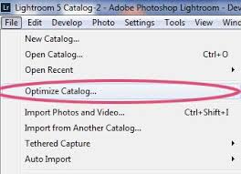 Image result for optimize lightroom catalog