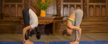 yoga ttc in bali samadhi yoga ashram