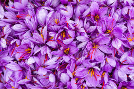 65,604 Saffron Stock Photos, Pictures & Royalty-Free Images - iStock