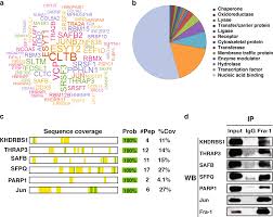 Endogenous Interaction Profiling Identifies Ddx5 As An