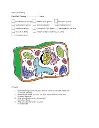 Download this coloring pages for free only on bubakids.com. Animal Cell Coloring