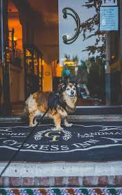 dog friendly hotels in carmel