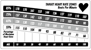 Target Heart Rate Chart Youth Usdchfchart Com