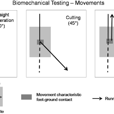 Biomechanical Testing Movement Pathways Download