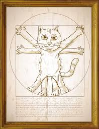 Showing relevant, targeted ads on and off etsy. Was Leonardo Da Vinci A Cat Lover The Florentine
