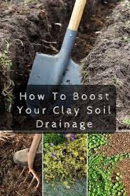 How To Boost Your Clay Soil Drainage
