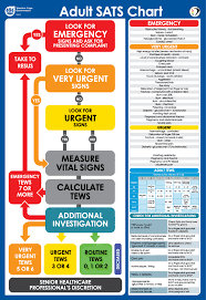 using the south african triage scale