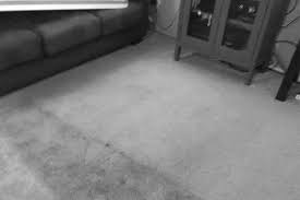 carpet cleaning services in rogue