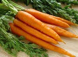 farm fresh carrots supplier exporter