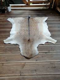 fallow deer skin hide pelt area rug
