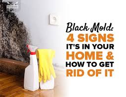 4 signs your home has toxic black mold