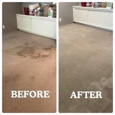 ernie s carpet and upholstery cleaners