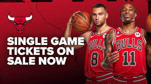 bulls the official site of the nba