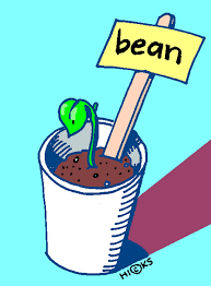 bean plant clip art - Clip Art Library