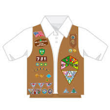 junior jeweler badge scout