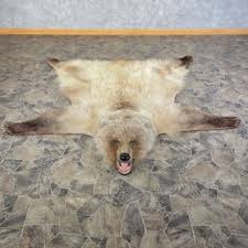 grizzly bear full size rug mount