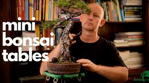 5.0 из 5 звездоч., исходя из 1 оценки товара(1). Japanese Black Pine Bonsai Growing Kit Youtube