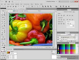 Adobe Fireworks CS6 With Crack Full Version Free Download
