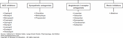 Medications Affecting Cardiac And Renal Function Lange