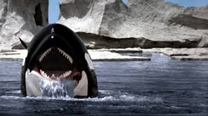 Resultado de imagen de orca la ballena asesina 1977