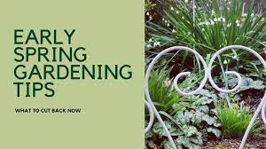 Spring Garden Gardening Tips