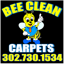 carpet cleaning in dover de on yelp