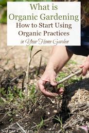 What Is Organic Gardening And How To