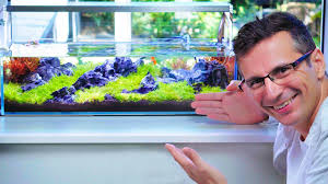 This aquascape gets it's inspiration from a trip to iceland one of our team members back in march. Size Matters Shallow Tank A High Tech Nano Aquascape Youtube