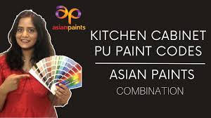 kitchen cabinet pu paint color