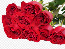 romantic rose png image romantic love