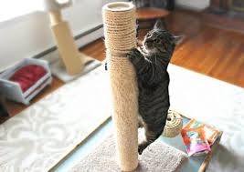 how to re sisal a cat scratching post