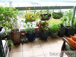 Balcony Gardening Ideas