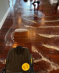 ao cleaning carpet care restoration